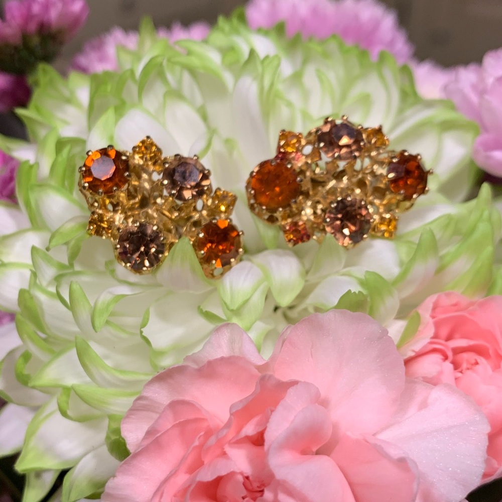 Austrian Vintage Clip-on Earings